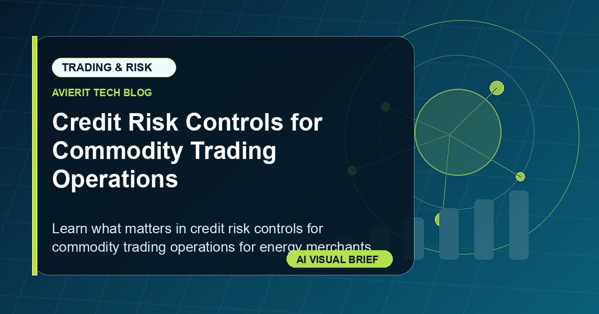 Credit Risk Controls for Commodity Trading Operations visual summary