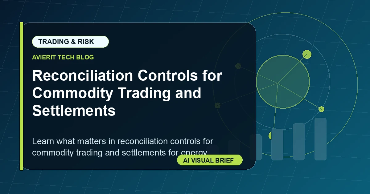 Reconciliation Controls for Commodity Trading and Settlements visual summary